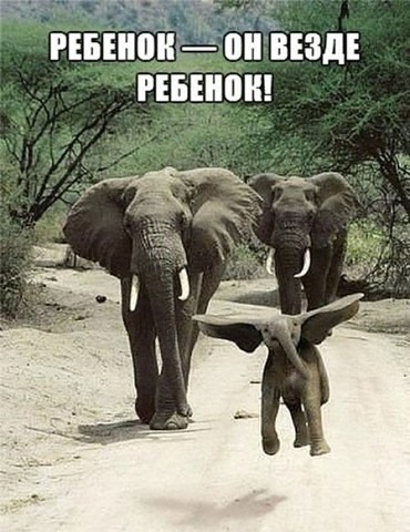 Ребенок