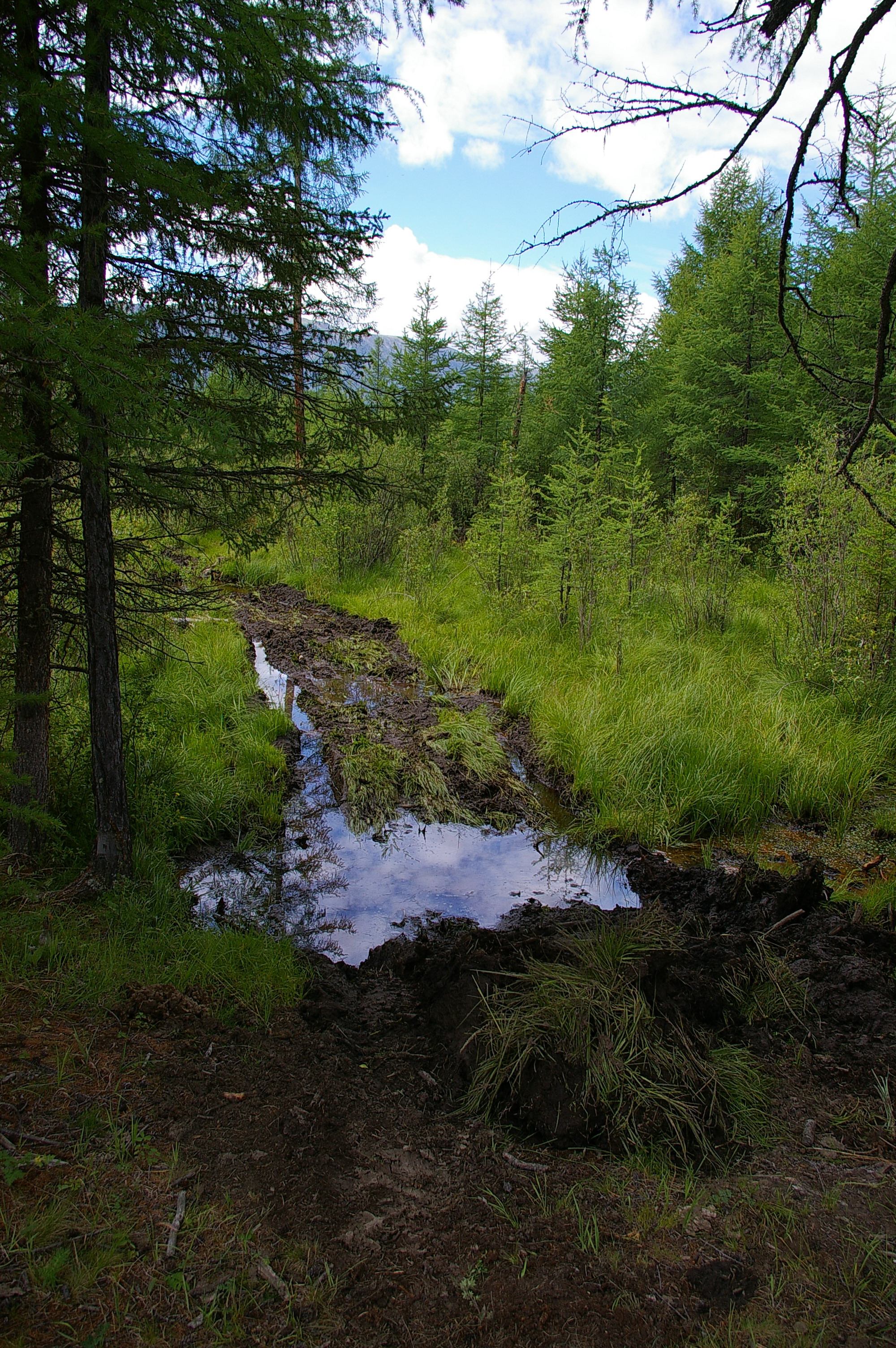 застревучее место