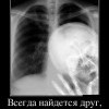 Всегда найдется друг