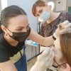 Обучение бровистов Обучение бровистов