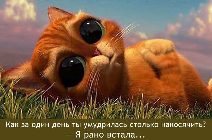 Косяк