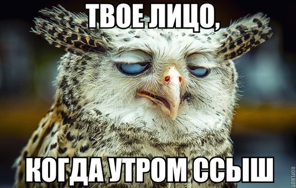 тваё литцо кагда))))))