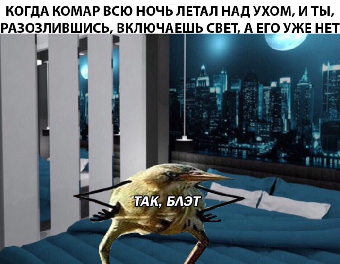 Комар всю ночь летал над ухом...