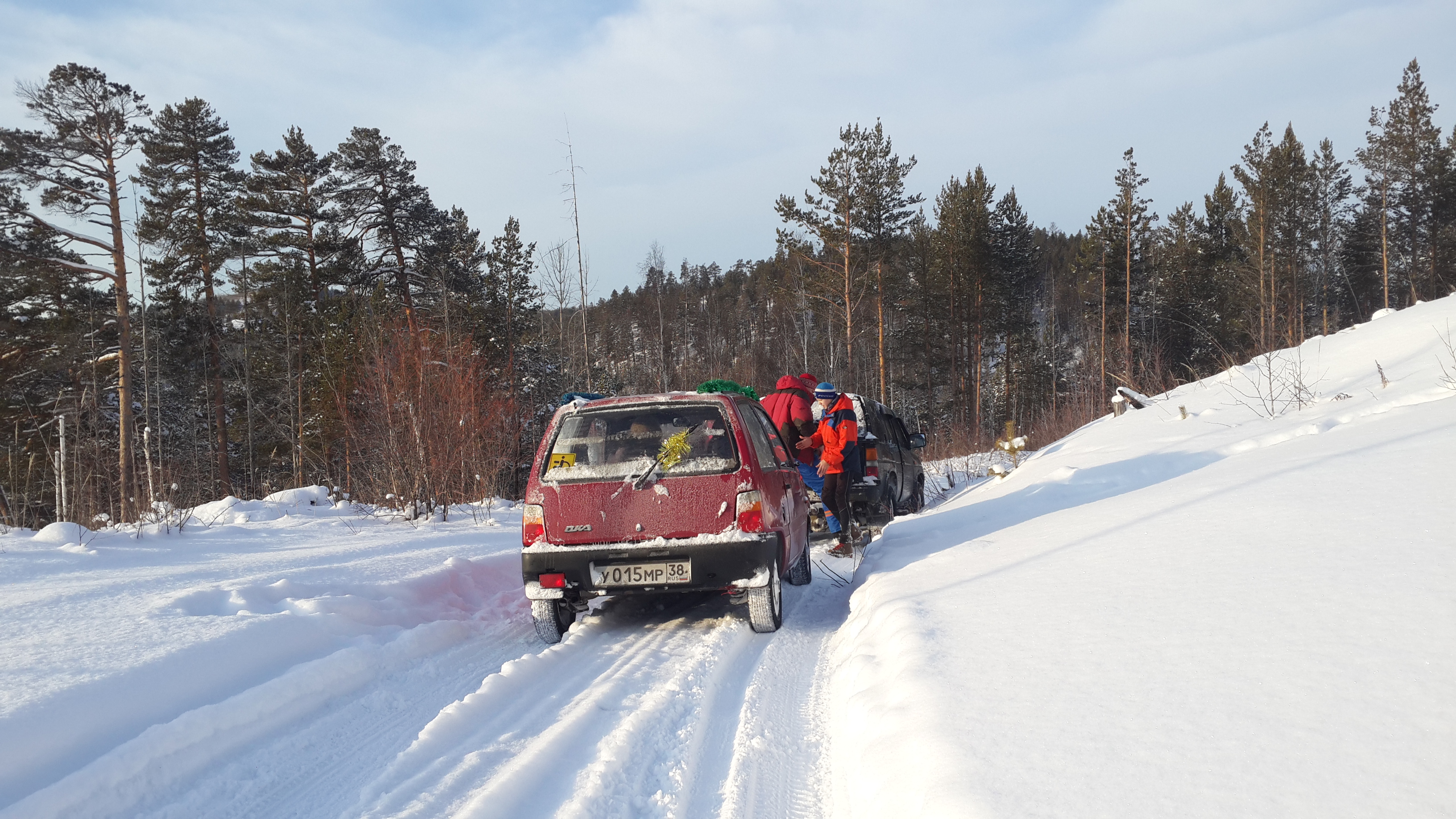 новогодний подснежник