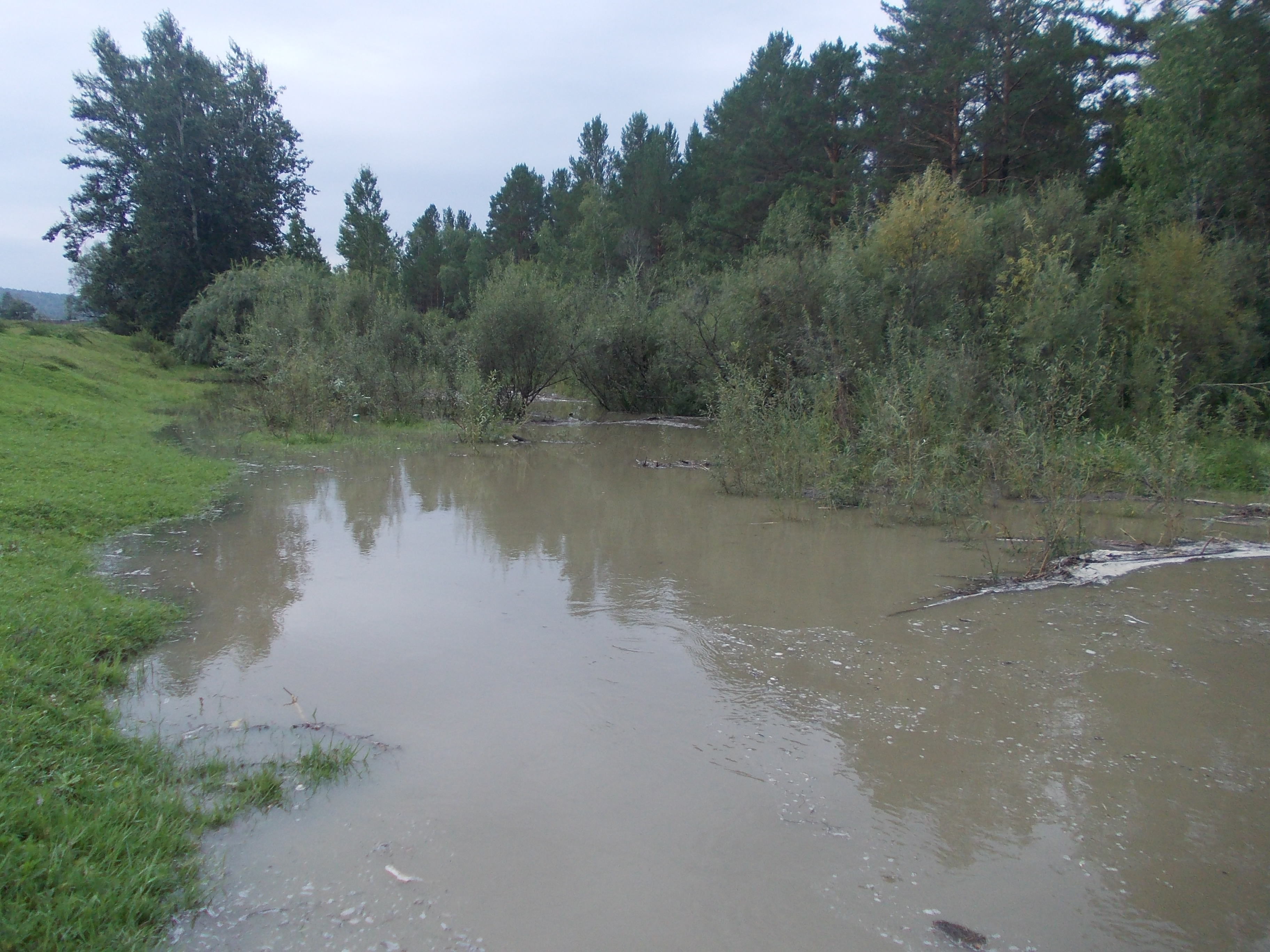 Природа разбушевалась. Чебогоры 17.08.2015