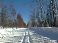 Лыжня БАМ