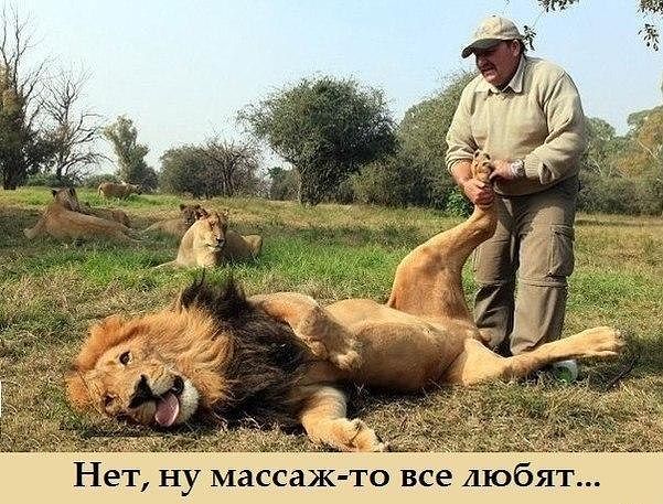 Пристрастие ..