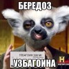 бередоз)))))) бередоз))))))