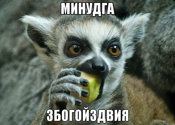 минудга збагойзтвия)))))