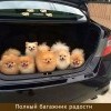 Багаж радости
