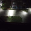  ёлочки нет.