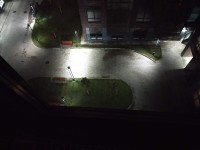 ёлочки нет.