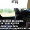 Photo 1488606154 Photo 1488606154