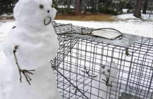Отловля бездомных снеговичков