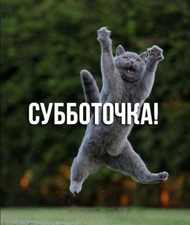 Субботочка))))))