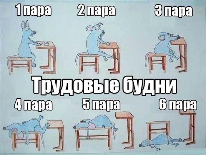 Трудовые будни