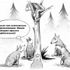 Отношение к окружающим