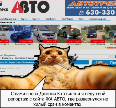 котоблоггер на связи