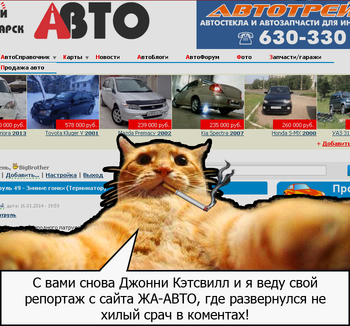 котоблоггер на связи