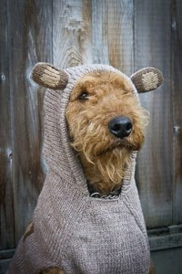 Когда на улице холодно..