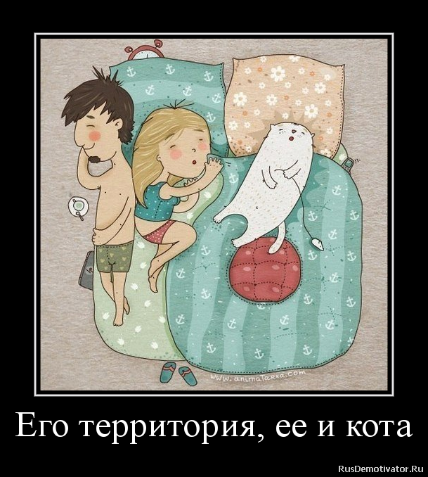 Территория
