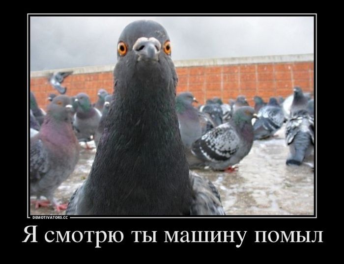 Помыл ли ты машину?