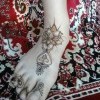 Изящный лотос Изящный лотос