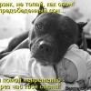 A469915c34cd3304e8d37d6cb4e prev