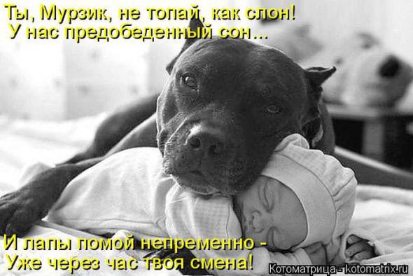 A469915c34cd3304e8d37d6cb4e prev