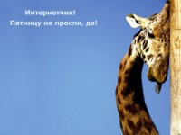 Пятница! Пятница!