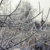 IMG 6428