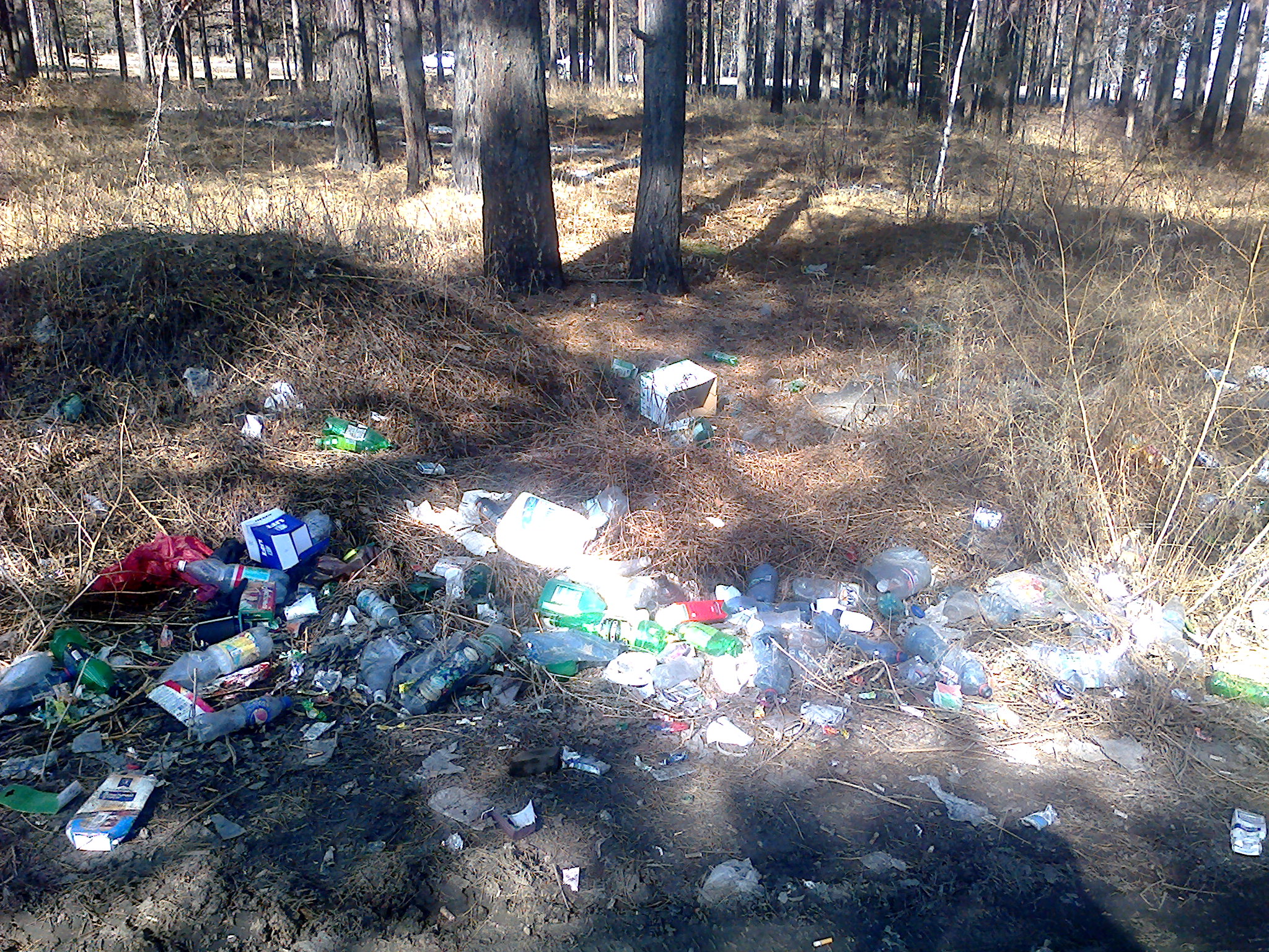 Мусор в отдельно стоящем лесочке в 14 м-не. не убираеится больше трех лет.