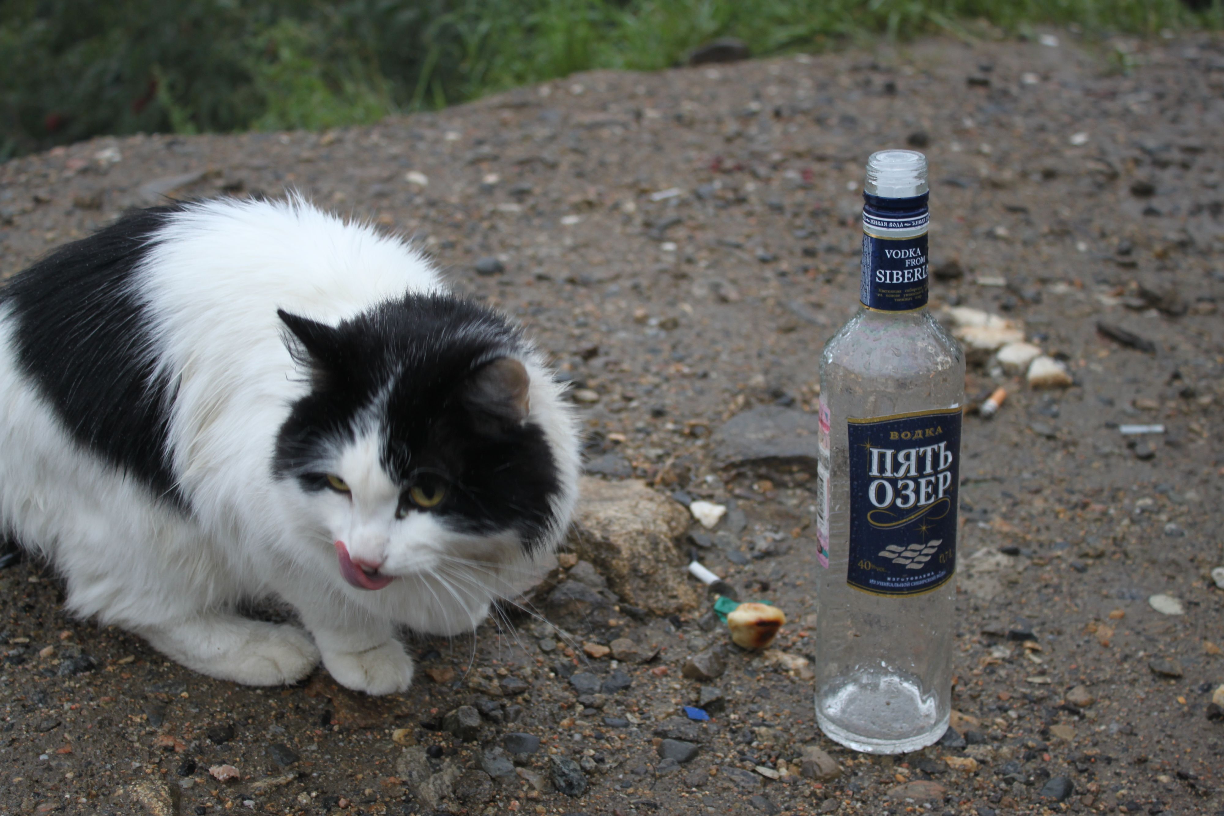 Хорошо пошла. Надо за второй идти