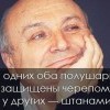 Полушария