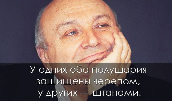Полушария