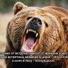 Впечатление от встречи Впечатление от встречи