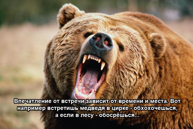 Впечатление от встречи