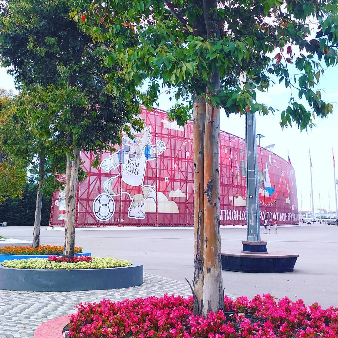 Забивака повсюду