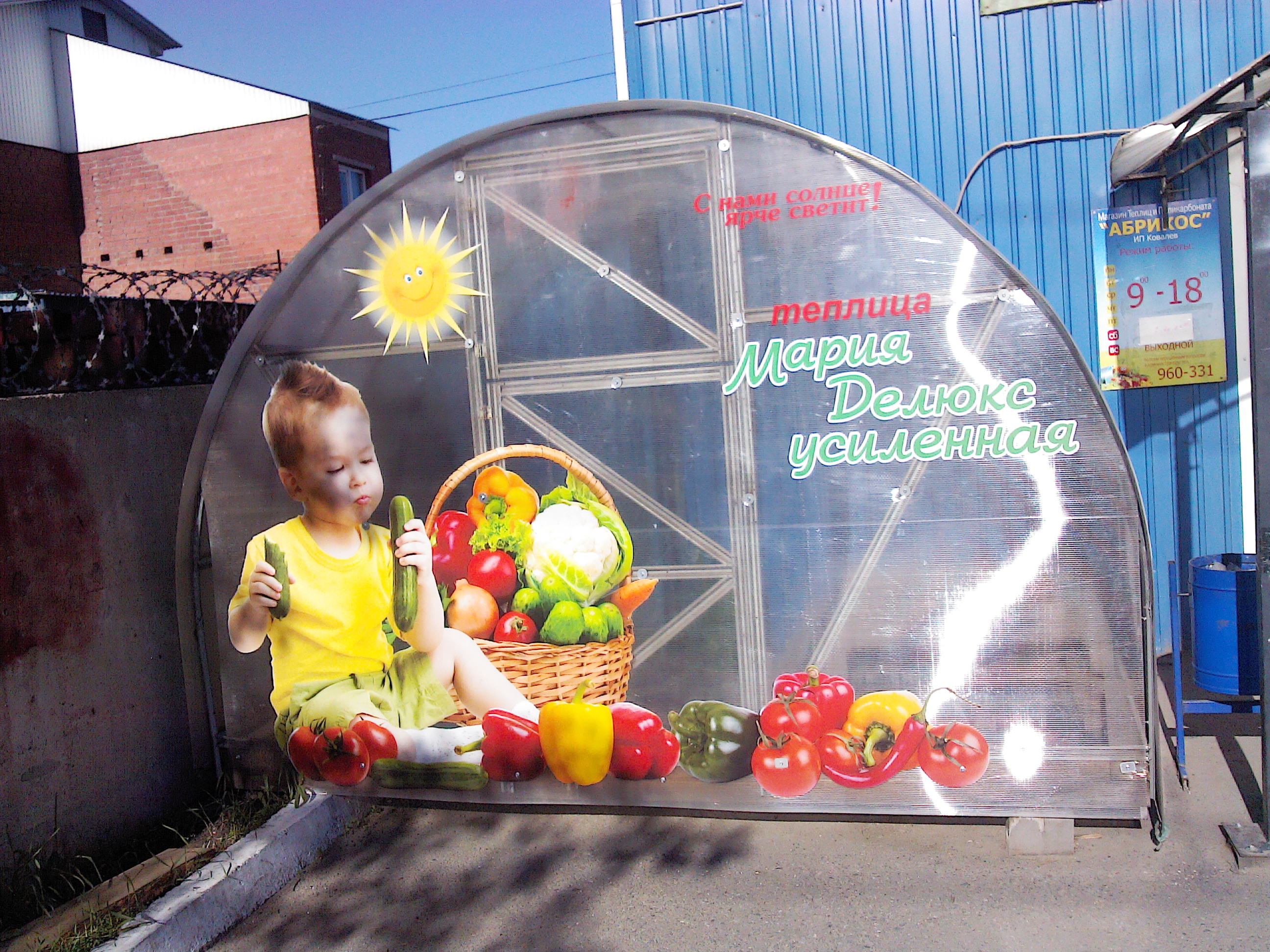 установка теплиц   т.646555