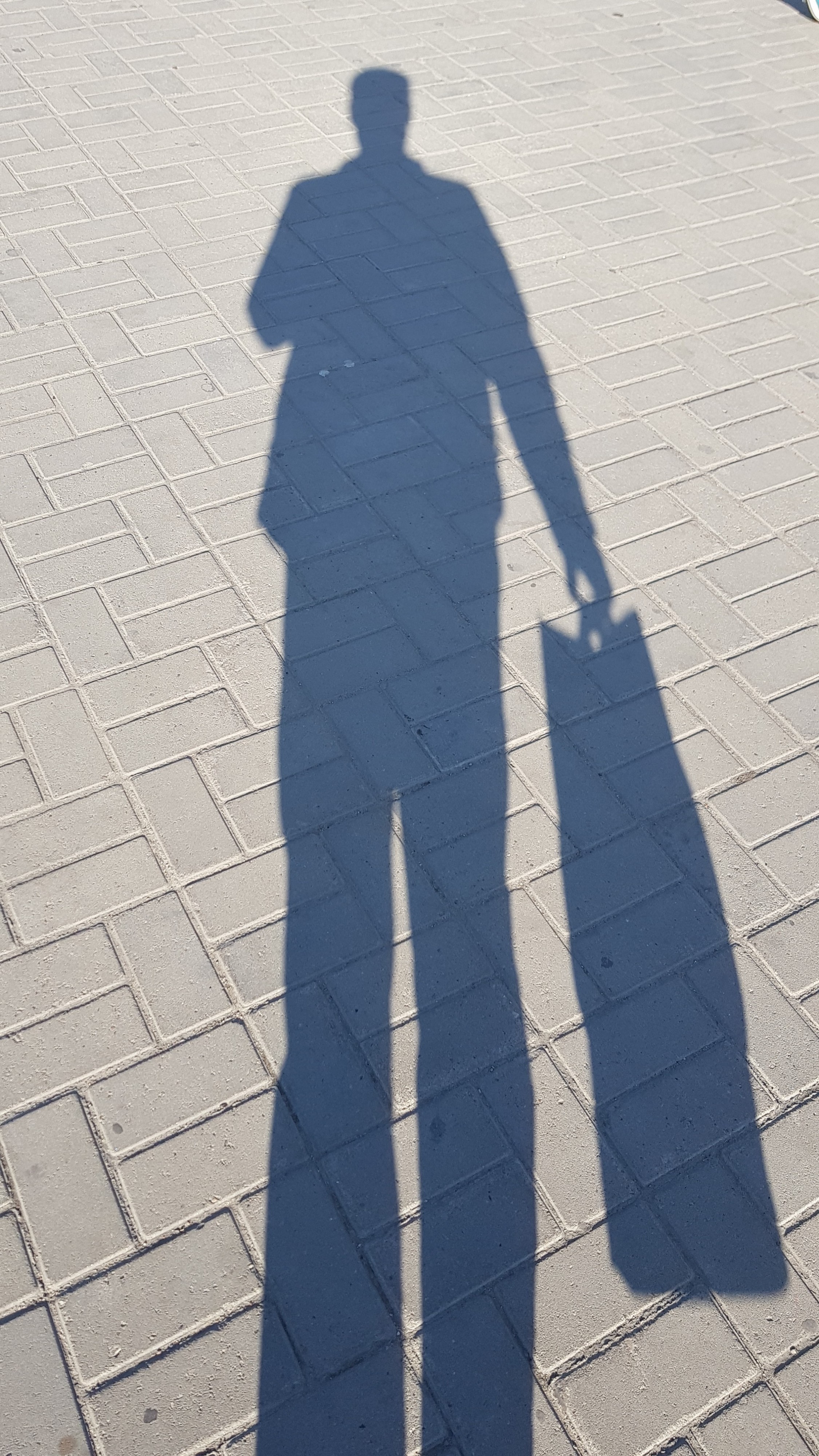 тень сирёгина каменносумошная)))))))