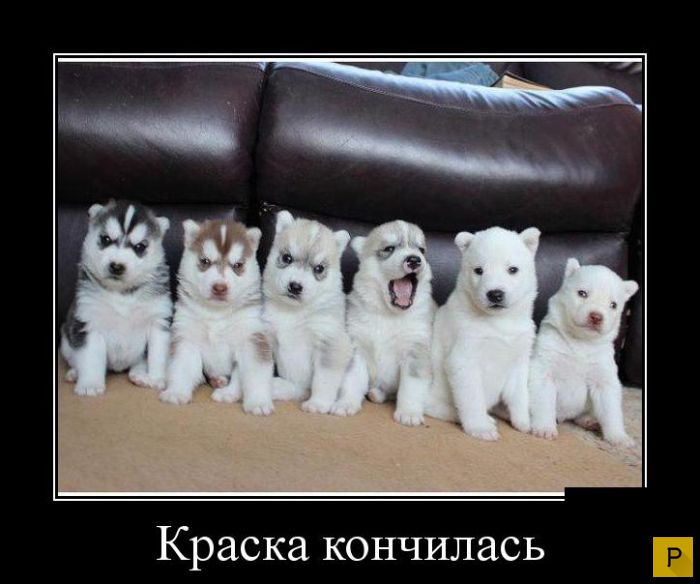 Краска кончилась