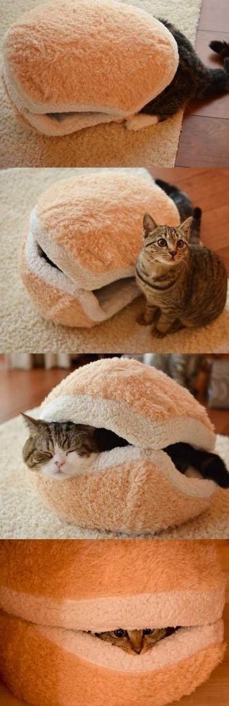 Для котэ