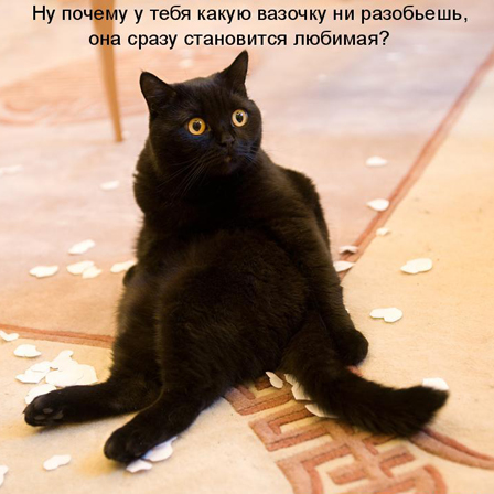 Кот и вазочка