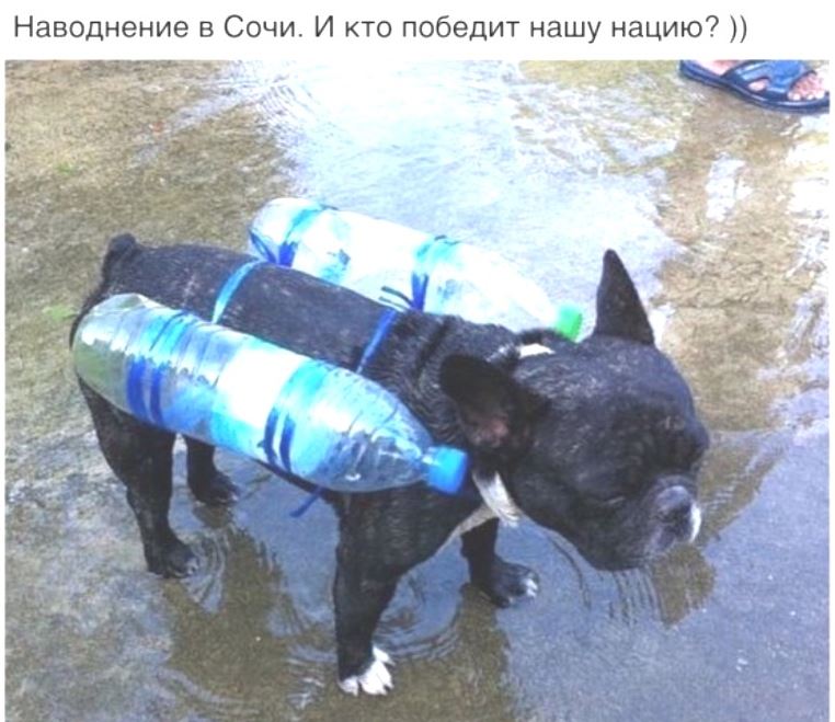 Нашу нацию не победить