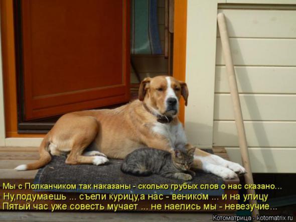 B255dcb8ad44c46da0936d76257 prev