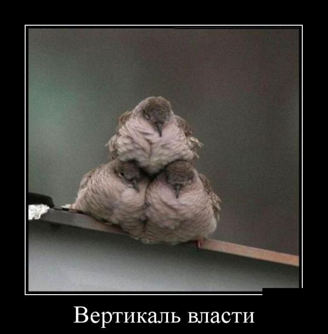 Вертикаль власти