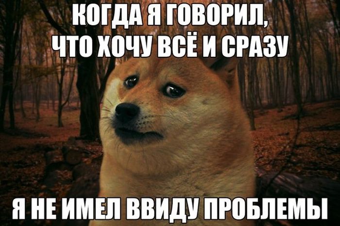 Всё и сразу