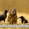 Плохая компания Плохая компания