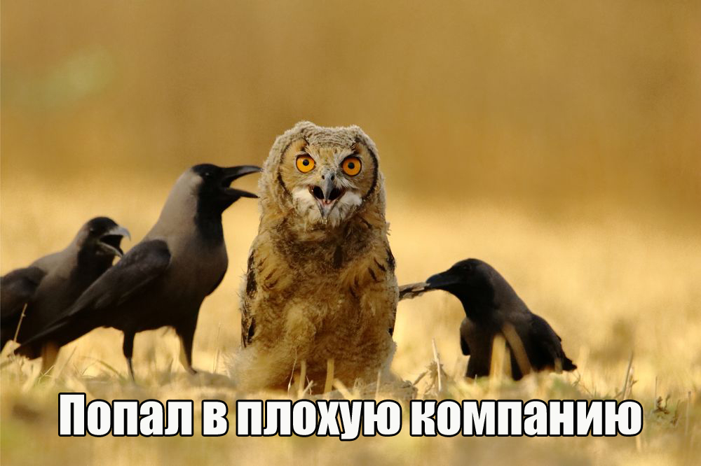 Плохая компания
