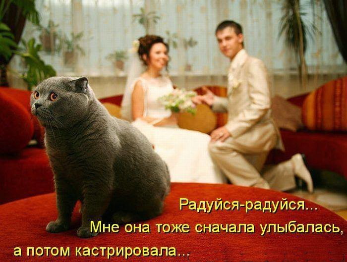 Радуйся-радуйся